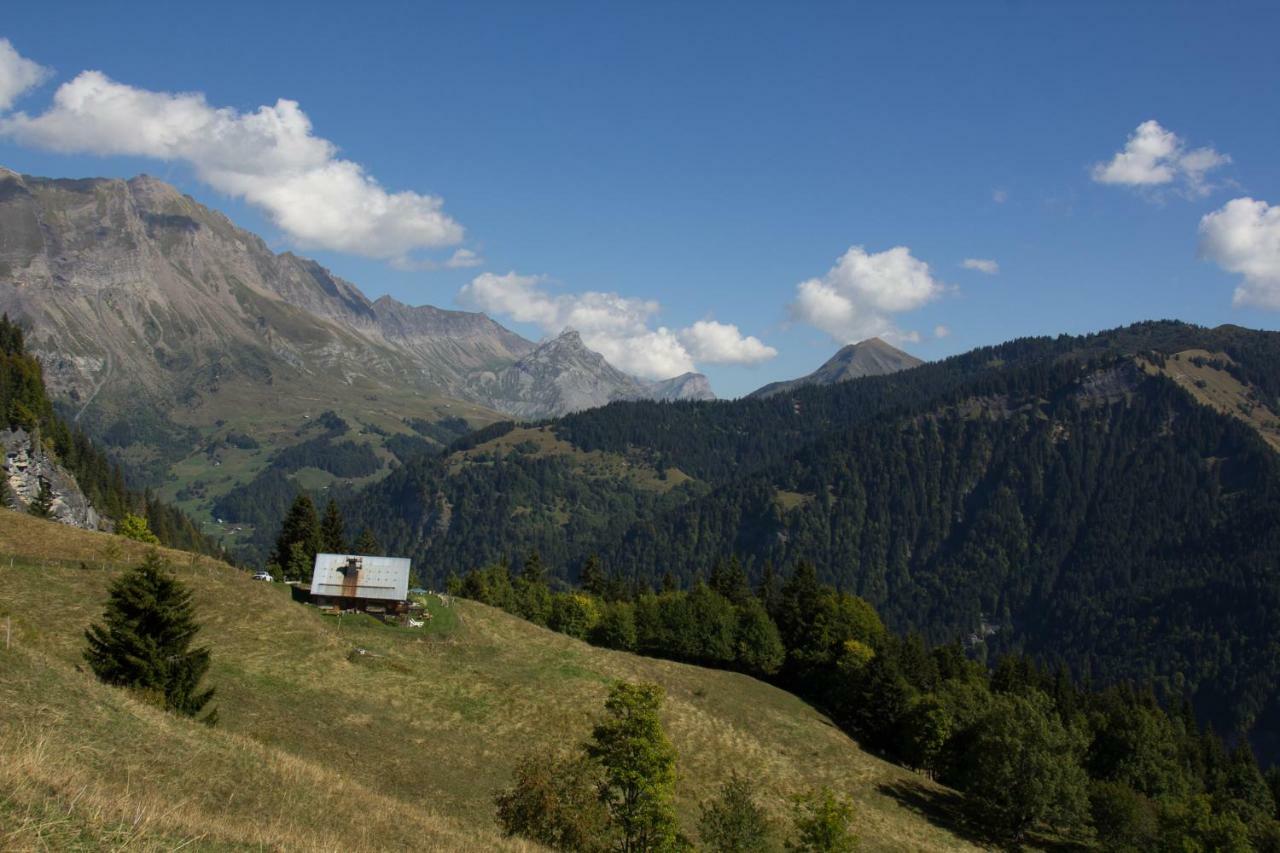 Reine Des Aravis - Chalet Isole Flumet Kültér fotó