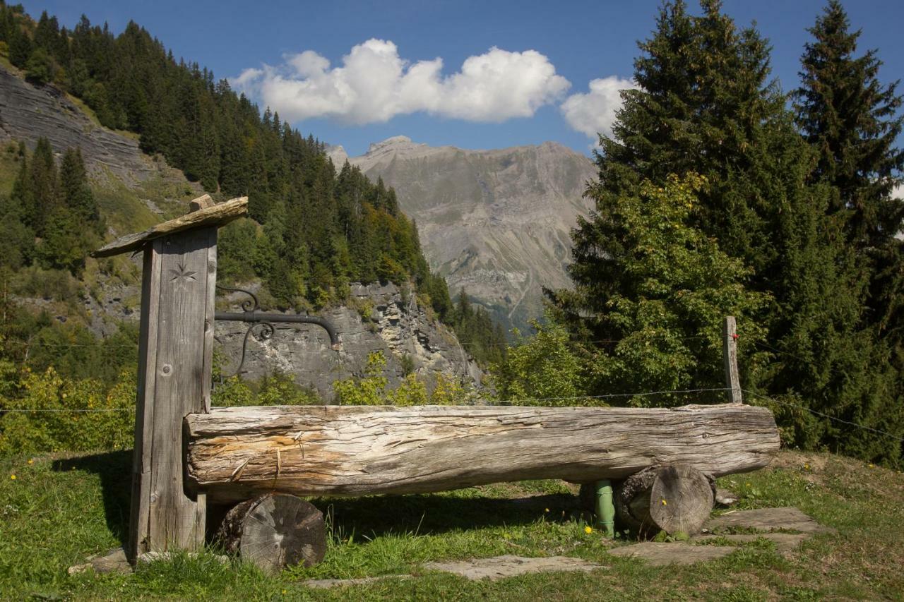 Reine Des Aravis - Chalet Isole Flumet Kültér fotó